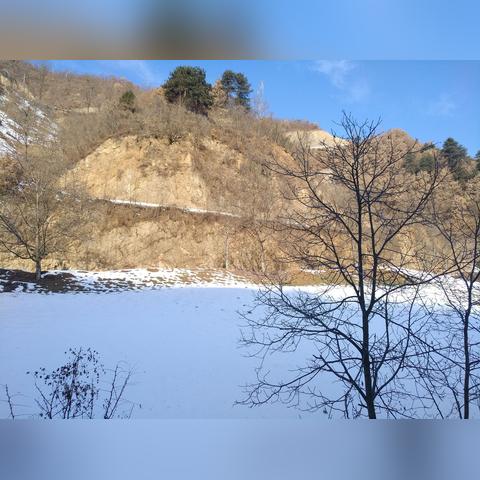 比翼鸟