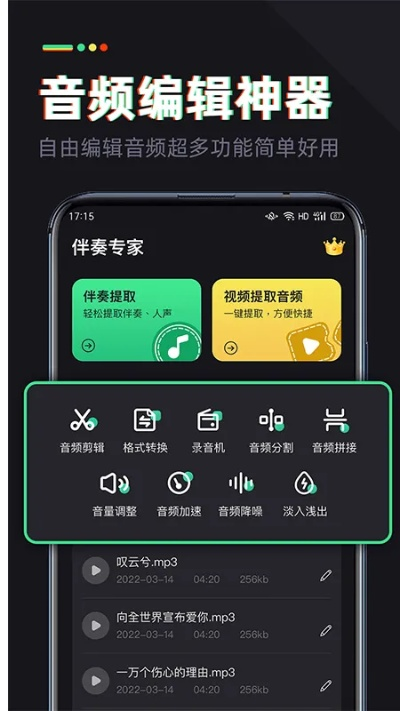 伴奏王官方下载,深入数据执行策略_AP_v3.218